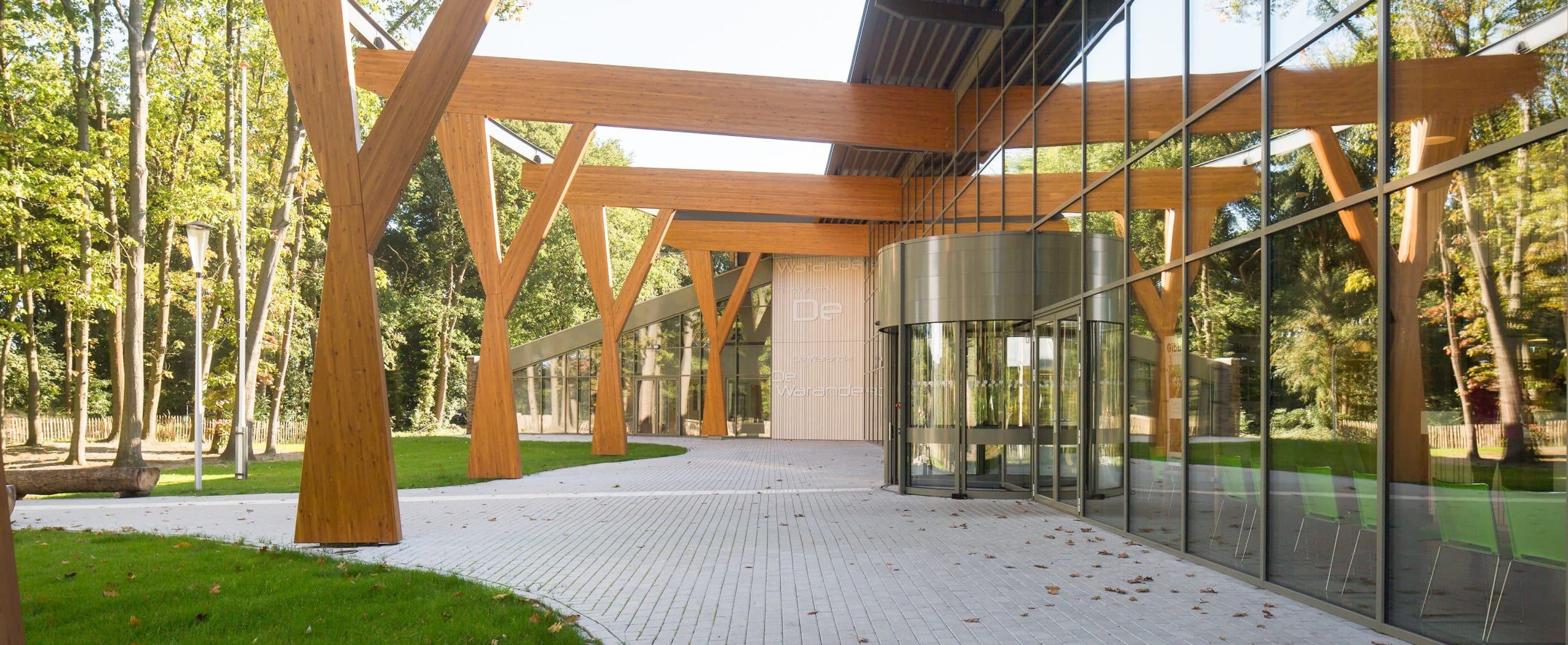 Alle Facetten van Zwemsport